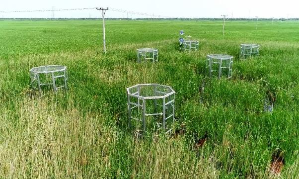 青岛市生态环境局城阳分局多项举措提升辖区生态环境监测数据质量